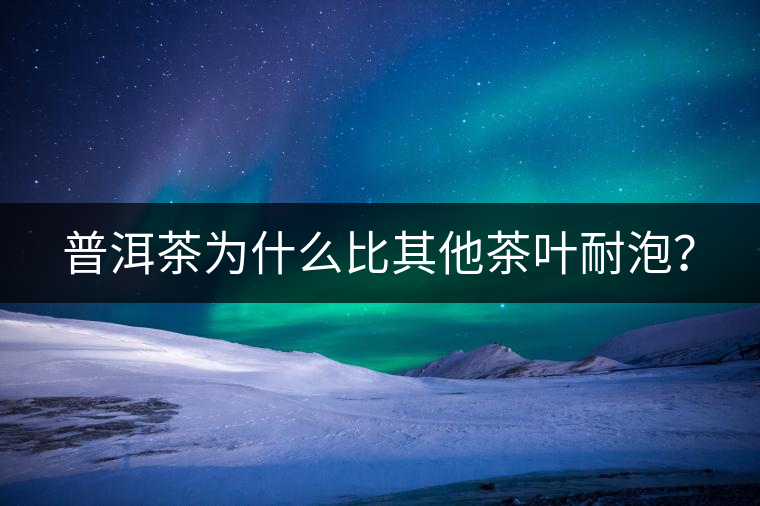 普洱茶為什么比其他茶葉耐泡？