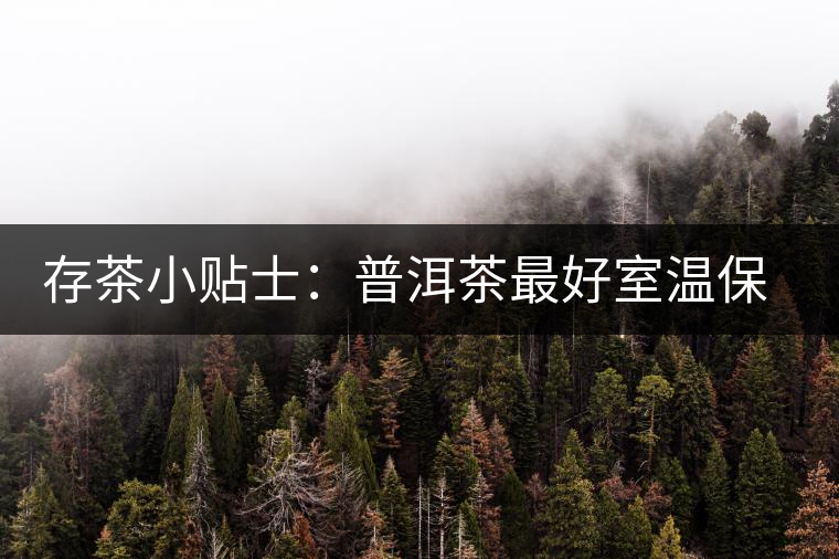 存茶小貼士：普洱茶最好室溫保存