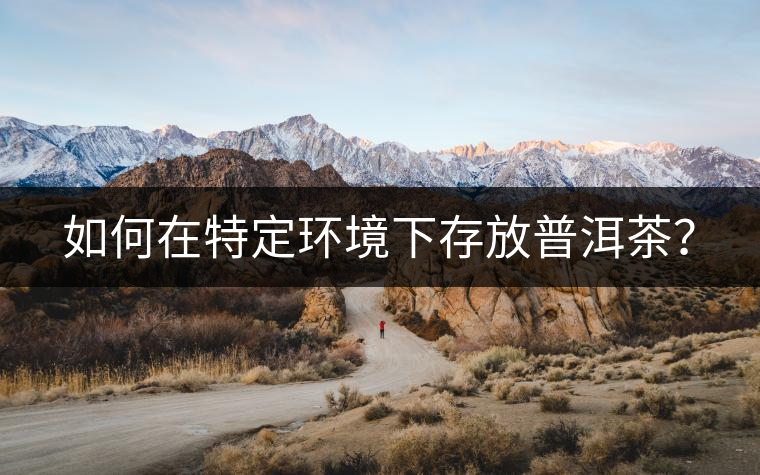 如何在特定環(huán)境下存放普洱茶？