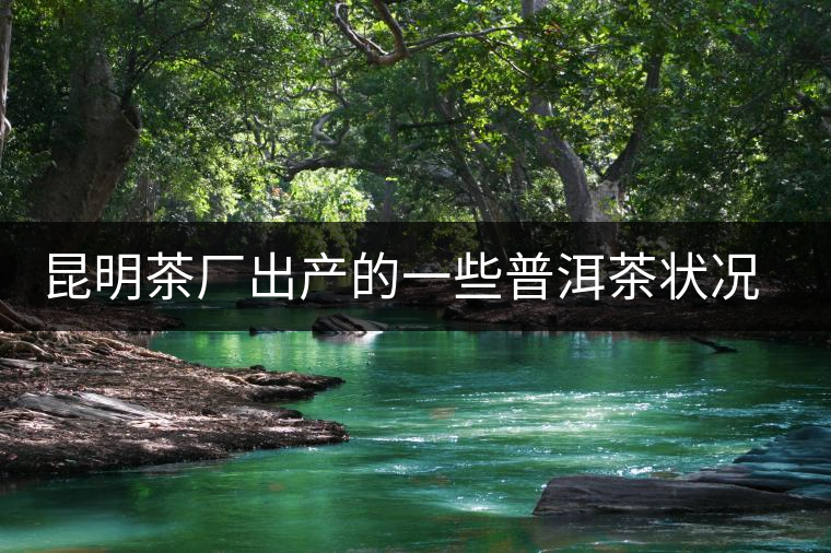 昆明茶廠出產(chǎn)的一些普洱茶狀況是怎樣？