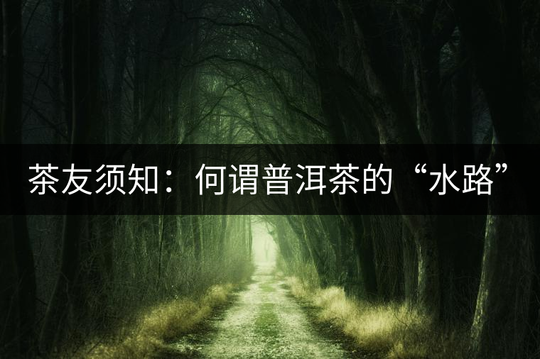 茶友須知：何謂普洱茶的“水路”？