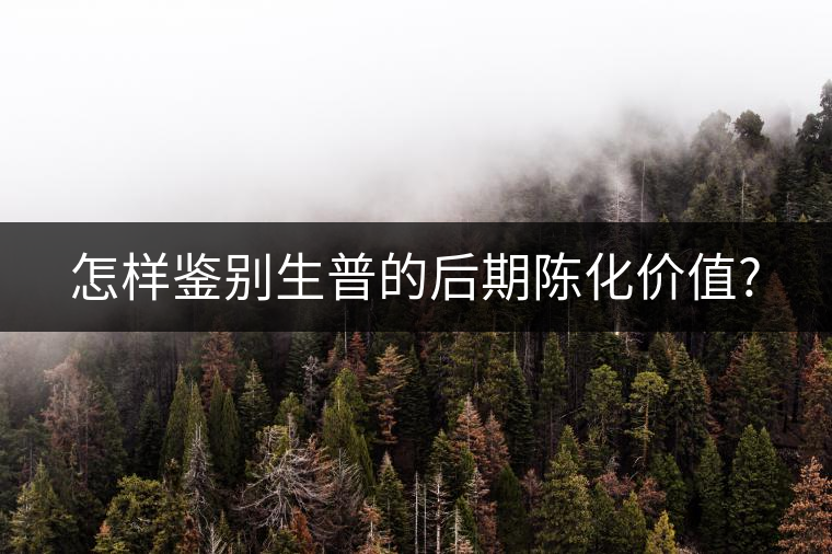 怎樣鑒別生普的后期陳化價(jià)值? 怎樣鑒別生普的后期陳化價(jià)值?