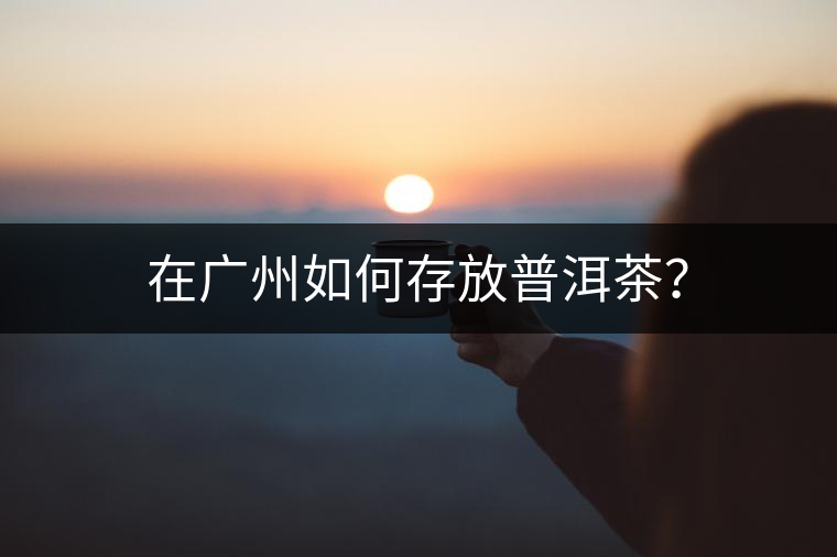 在廣州如何存放普洱茶？