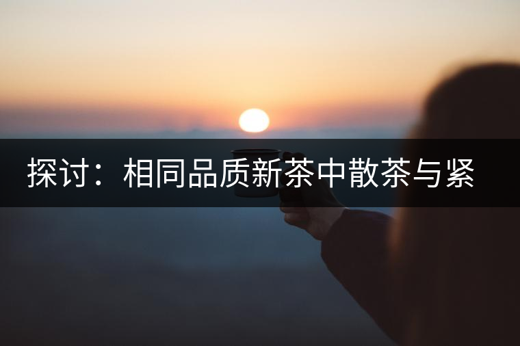 探討：相同品質(zhì)新茶中散茶與緊壓茶哪個(gè)好？