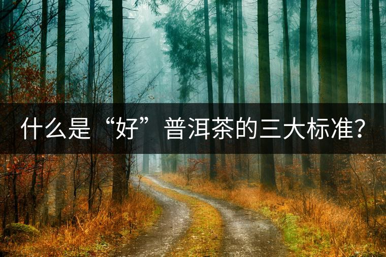 什么是“好”普洱茶的三大標(biāo)準(zhǔn)？