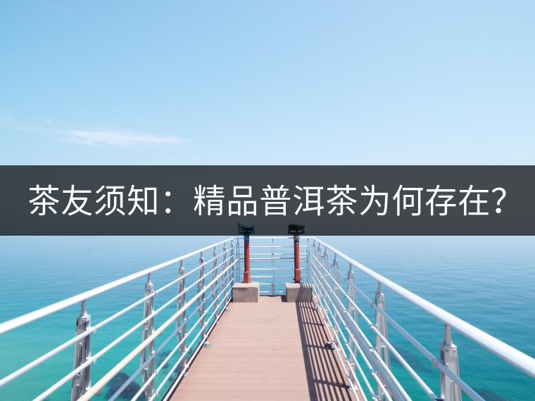 茶友須知：精品普洱茶為何存在？