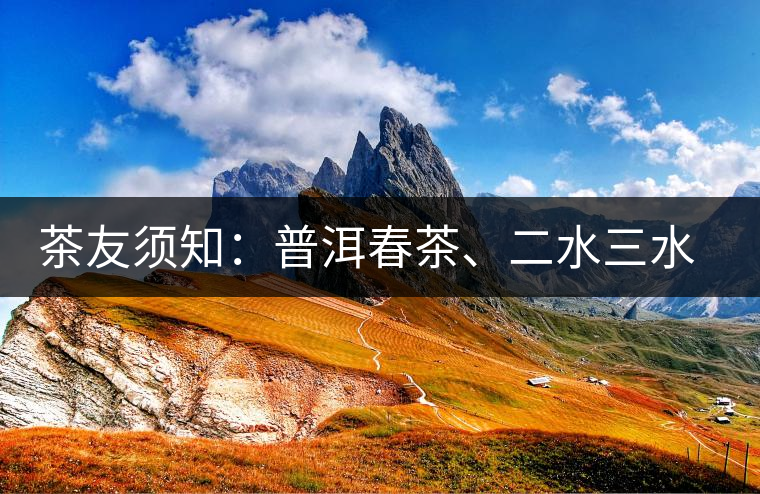 茶友須知：普洱春茶、二水三水茶和谷花茶