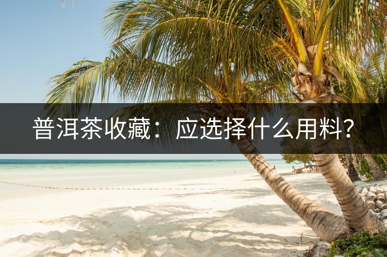 普洱茶收藏：應選擇什么用料？