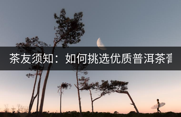 茶友須知：如何挑選優(yōu)質(zhì)普洱茶膏？
