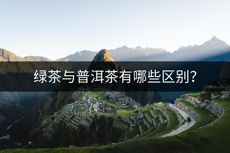 綠茶與普洱茶有哪些區(qū)別？