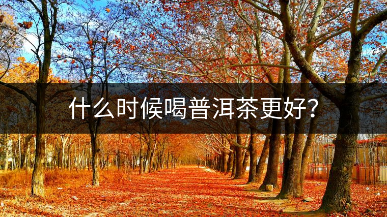 什么時(shí)候喝普洱茶更好？
