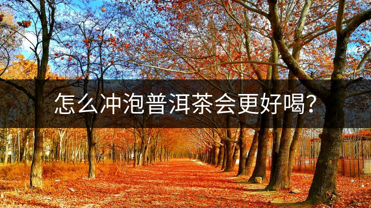 怎么沖泡普洱茶會(huì)更好喝？