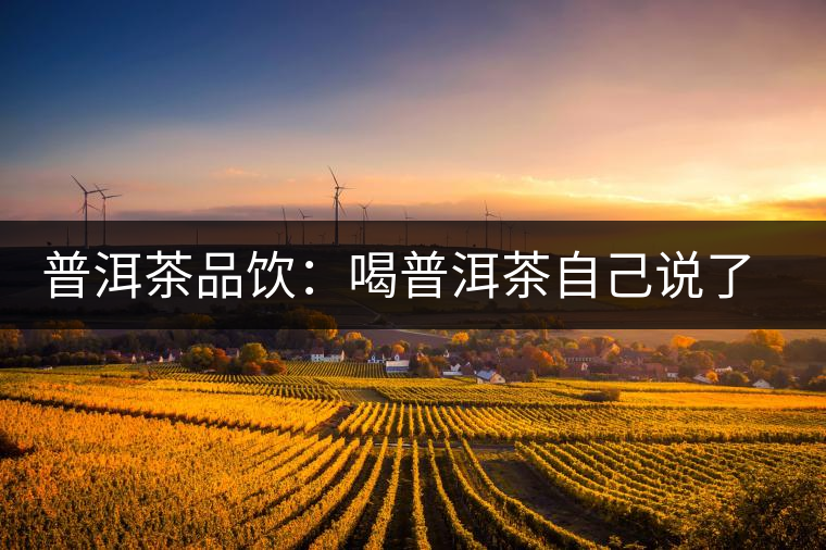 普洱茶品飲：喝普洱茶自己說(shuō)了算