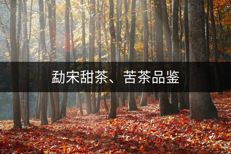 勐宋甜茶、苦茶品鑒