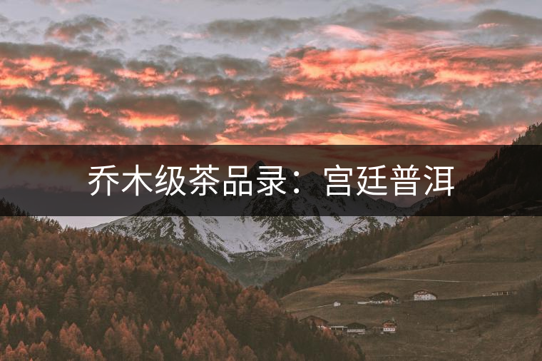 喬木級茶品錄：宮廷普洱