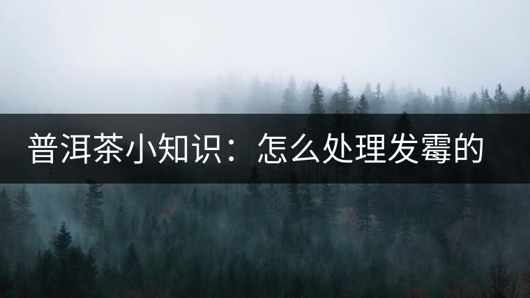 普洱茶小知識(shí):怎么處理發(fā)霉的普洱茶 普洱茶小知識(shí):怎么處理發(fā)霉的普洱茶