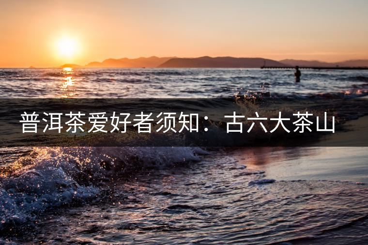 普洱茶愛(ài)好者須知：古六大茶山的相關(guān)情況