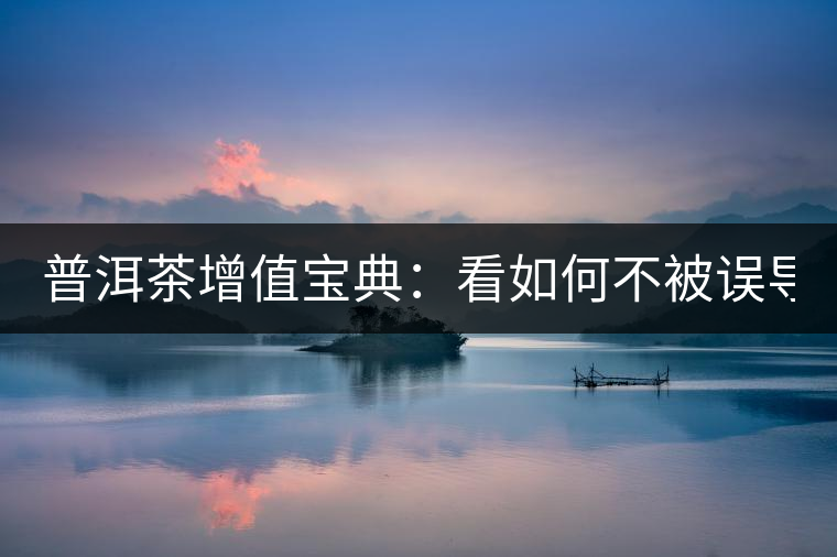 普洱茶增值寶典：看如何不被誤導(dǎo)？