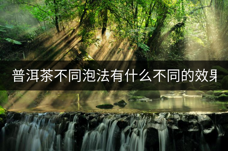 普洱茶不同泡法有什么不同的效果？