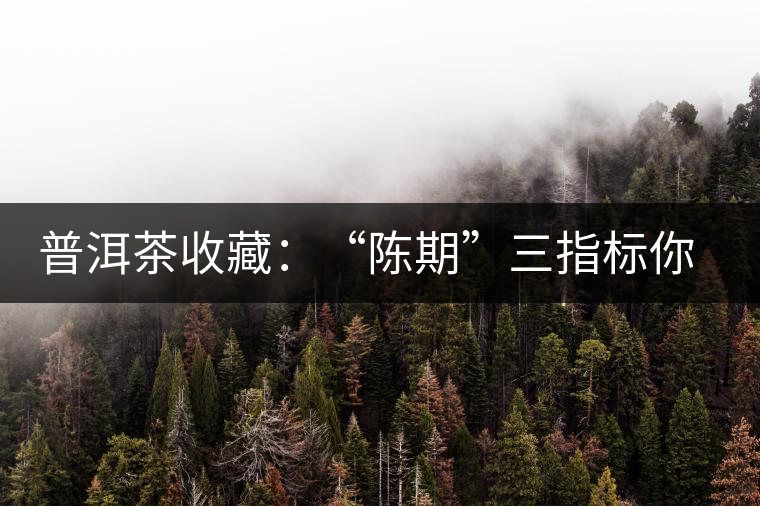 普洱茶收藏：“陳期”三指標(biāo)你知道嗎？
