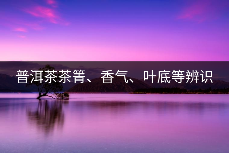 普洱茶茶箐、香氣、葉底等辨識(shí)