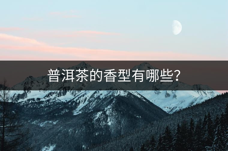 普洱茶的香型有哪些？