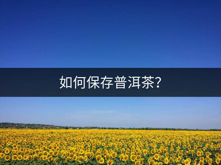 如何保存普洱茶？