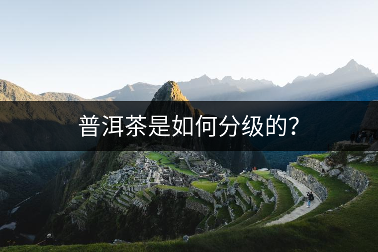 普洱茶是如何分級的？