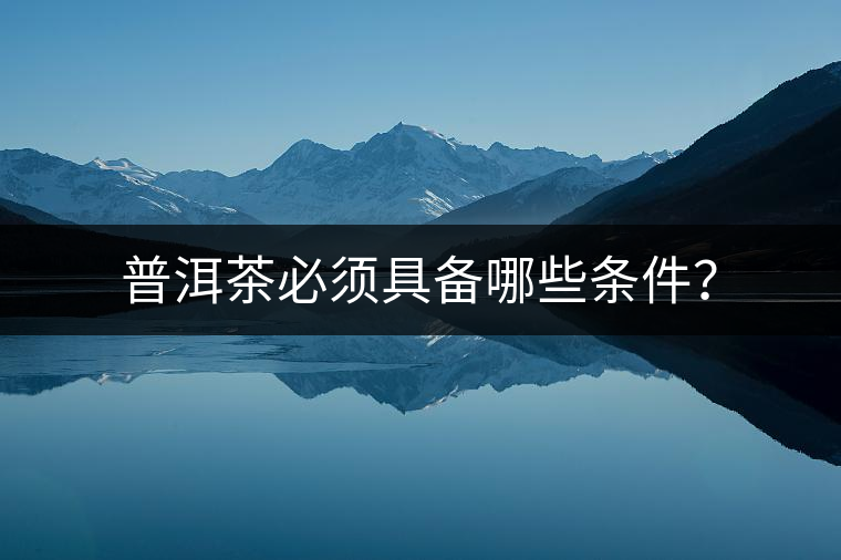 普洱茶必須具備哪些條件？