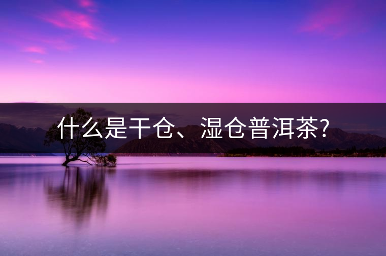 什么是干倉、濕倉普洱茶?