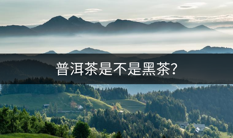 普洱茶是不是黑茶？