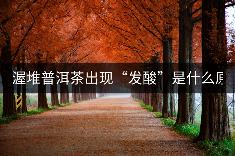 渥堆普洱茶出現(xiàn)“發(fā)酸”是什么原因？