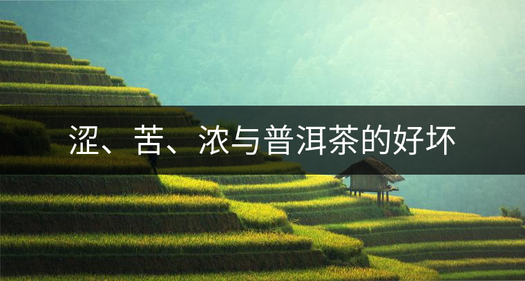 澀、苦、濃與普洱茶的好壞