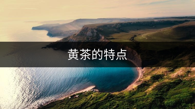 黃茶的特點