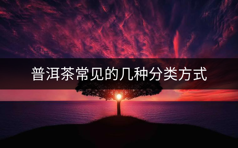 普洱茶常見的幾種分類方式
