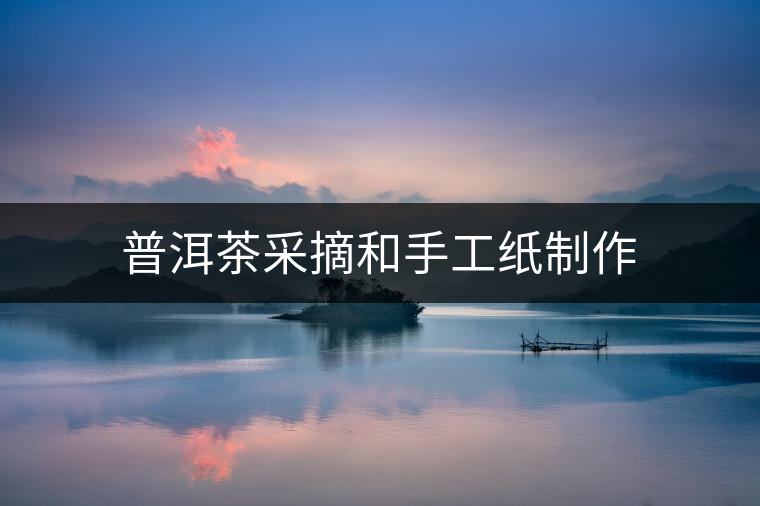 普洱茶采摘和手工紙制作 普洱茶采摘和手工紙制作