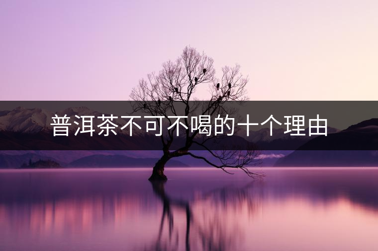 普洱茶不可不喝的十個(gè)理由 普洱茶不可不喝的十個(gè)理由