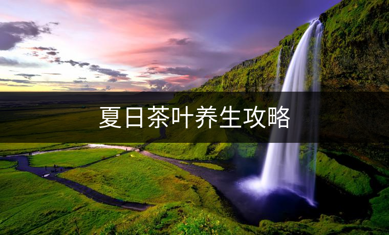 夏日茶葉養(yǎng)生攻略