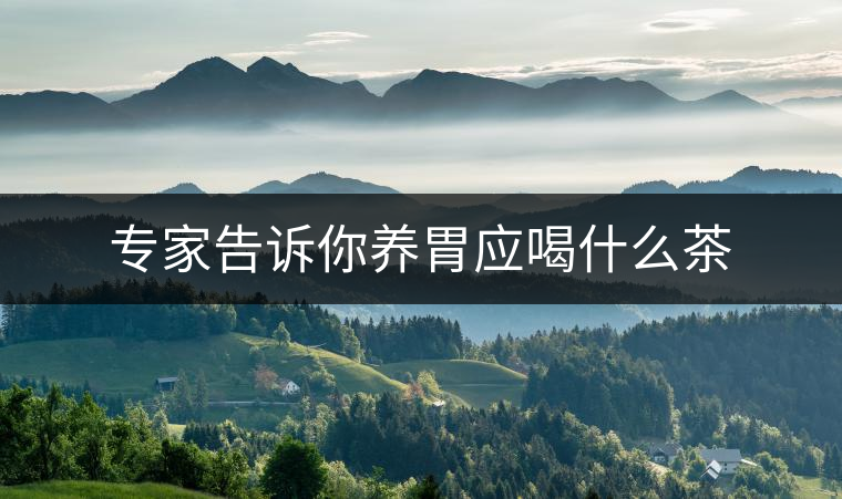 專家告訴你養(yǎng)胃應喝什么茶