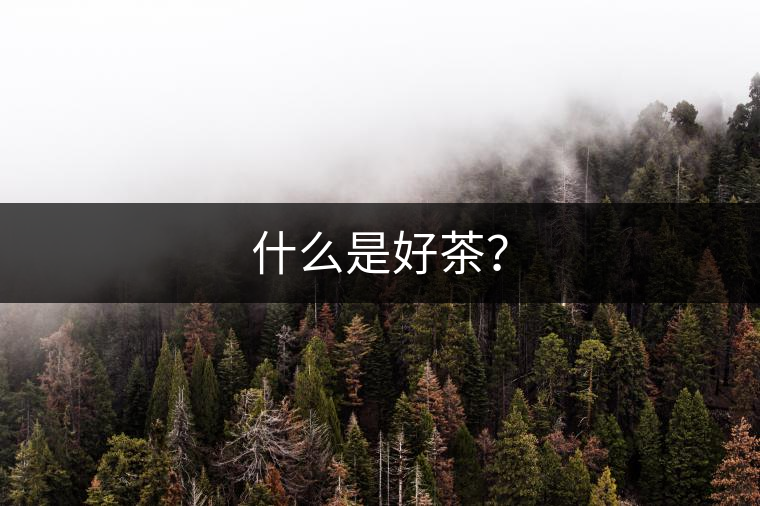 什么是好茶？