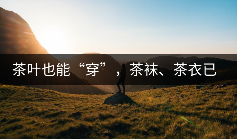 茶葉也能“穿”，茶襪、茶衣已進入研發(fā)階段