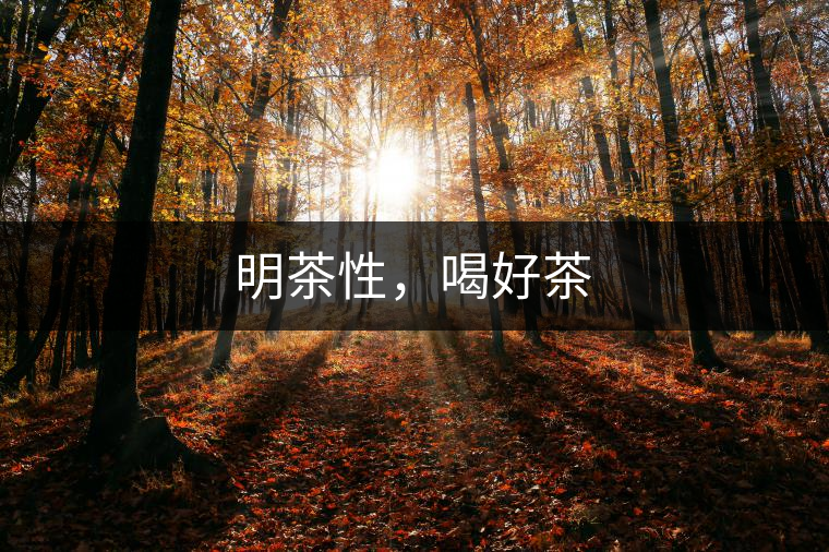 明茶性,喝好茶 明茶性,喝好茶