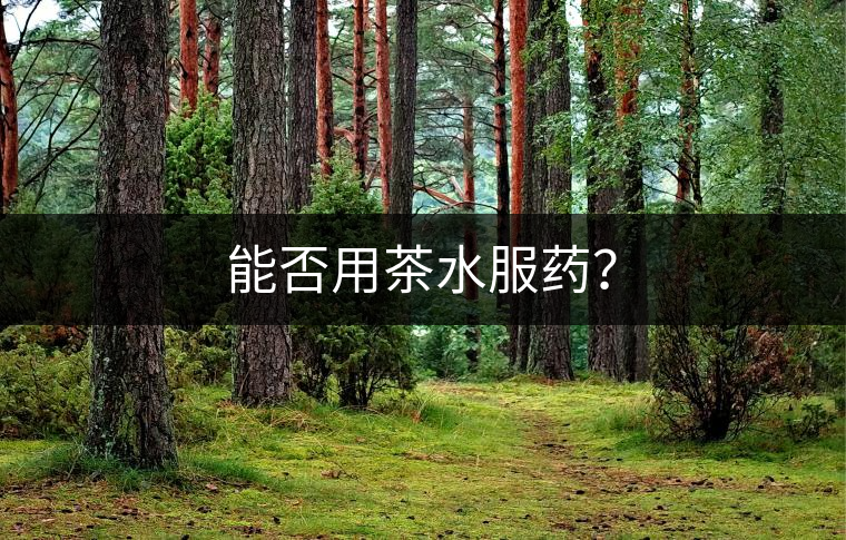 能否用茶水服藥? 能否用茶水服藥?