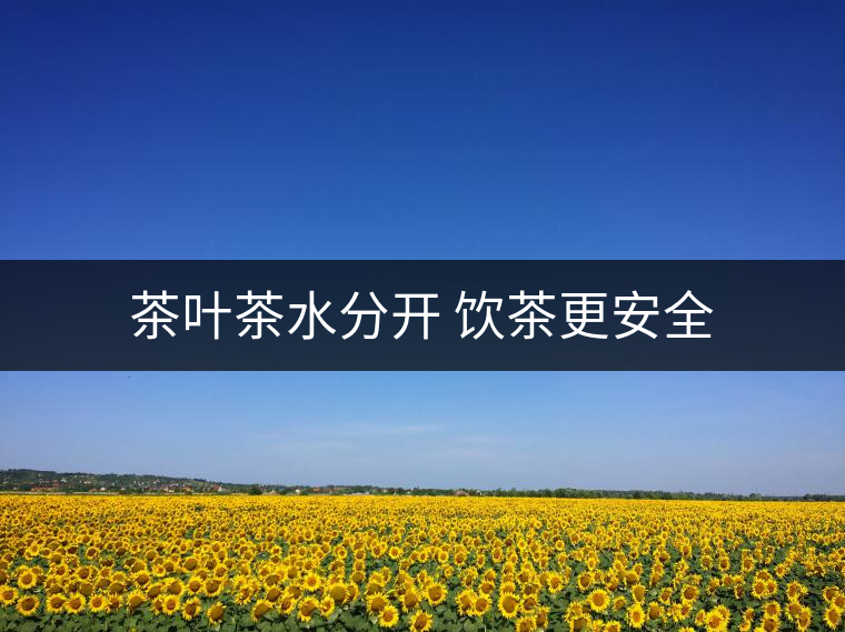 茶葉茶水分開(kāi) 飲茶更安全 茶葉茶水分開(kāi) 飲茶更安全