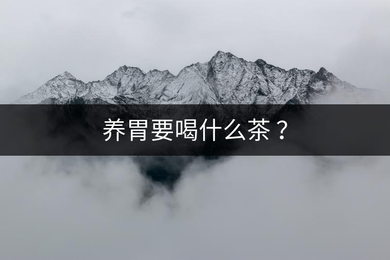 養(yǎng)胃要喝什么茶 ？