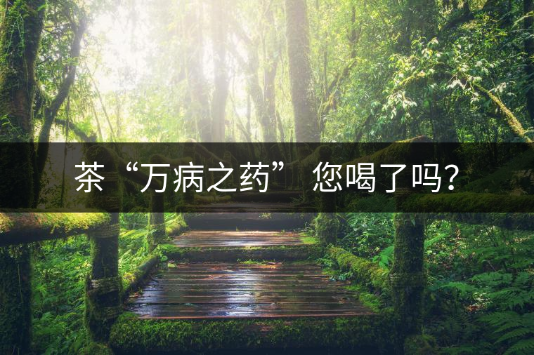 茶“萬(wàn)病之藥” 您喝了嗎？