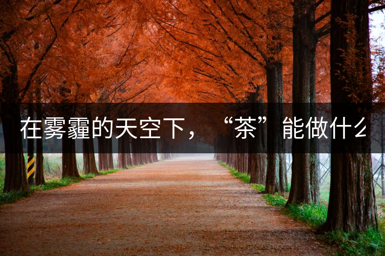 在霧霾的天空下，“茶”能做什么？
