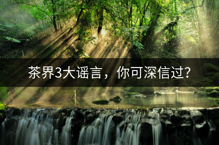 茶界3大謠言，你可深信過？