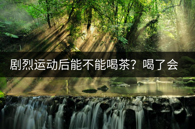 劇烈運動后能不能喝茶？喝了會有什么不適？