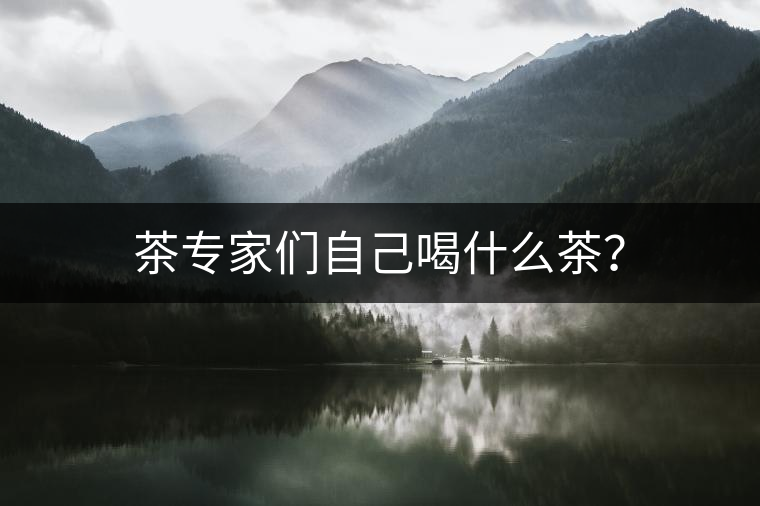 茶專家們自己喝什么茶？
